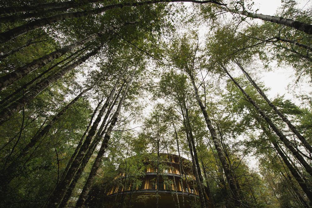 Villa Huilo Huilo Reino Fungi à Puerto Fuy Extérieur photo