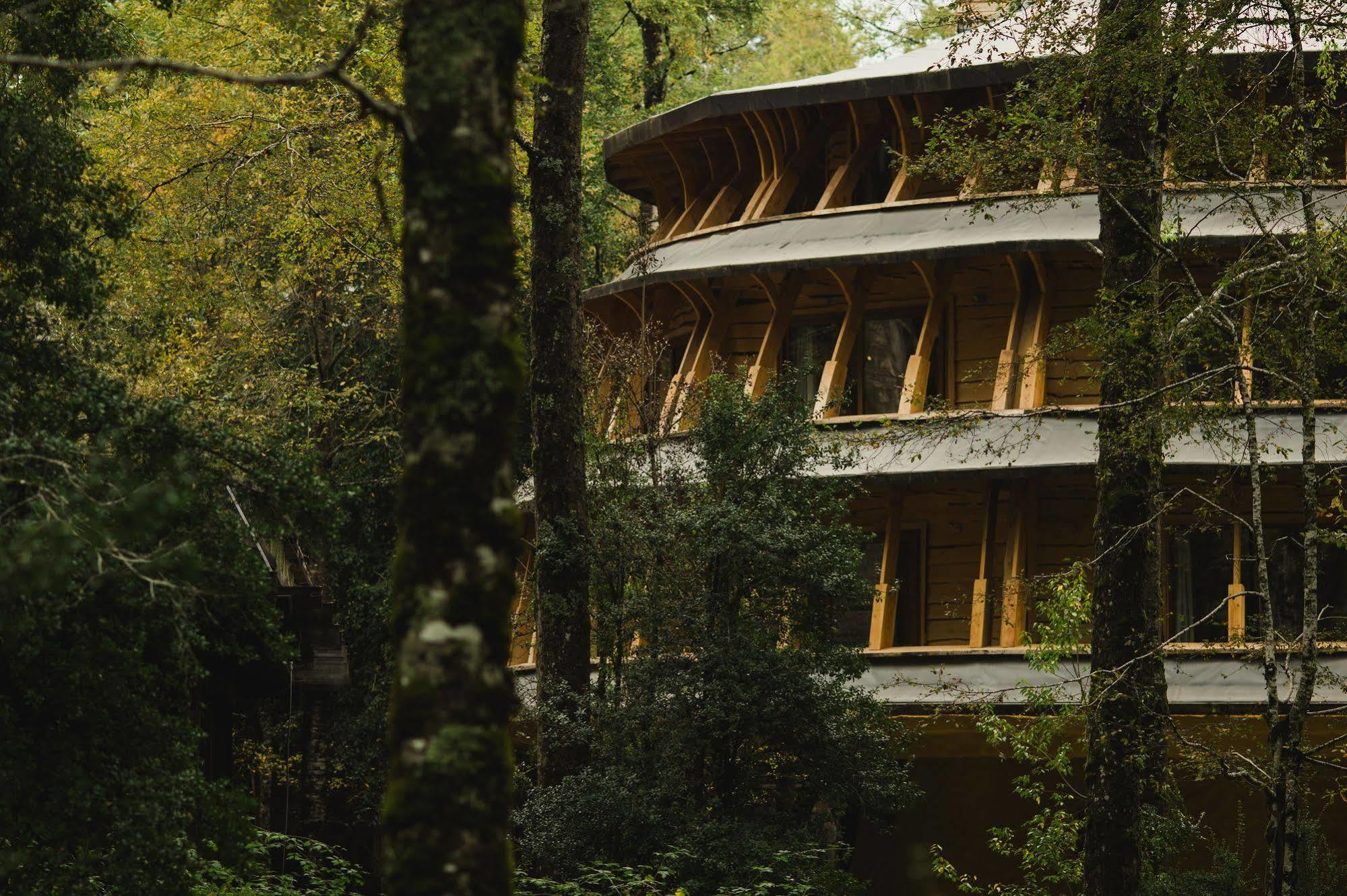 Villa Huilo Huilo Reino Fungi à Puerto Fuy Extérieur photo